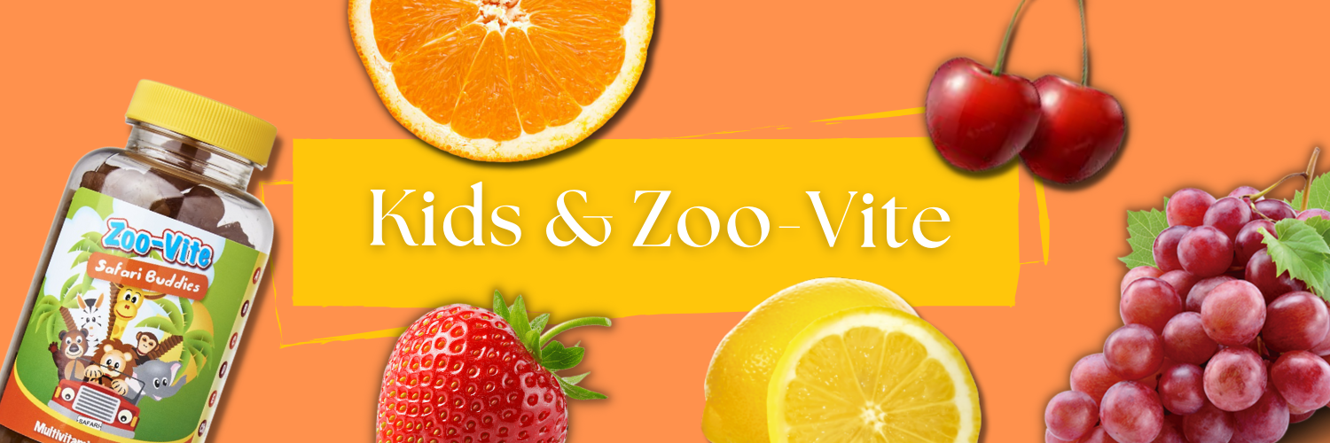 Banner Zoo-vite